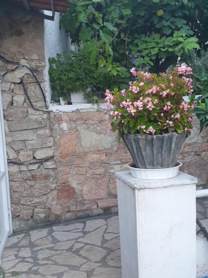 Sarandë Rosemary Houseゲストハウス エクステリア 写真