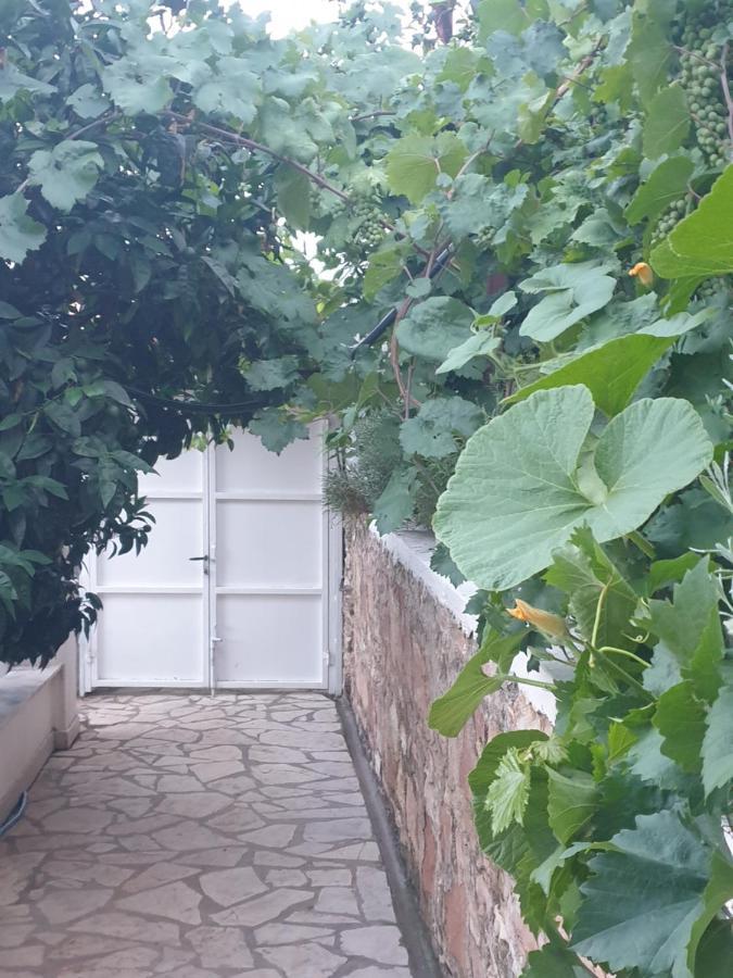 Sarandë Rosemary Houseゲストハウス エクステリア 写真