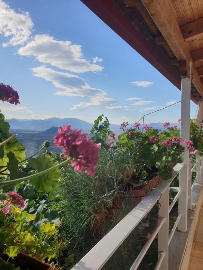 Sarandë Rosemary Houseゲストハウス エクステリア 写真