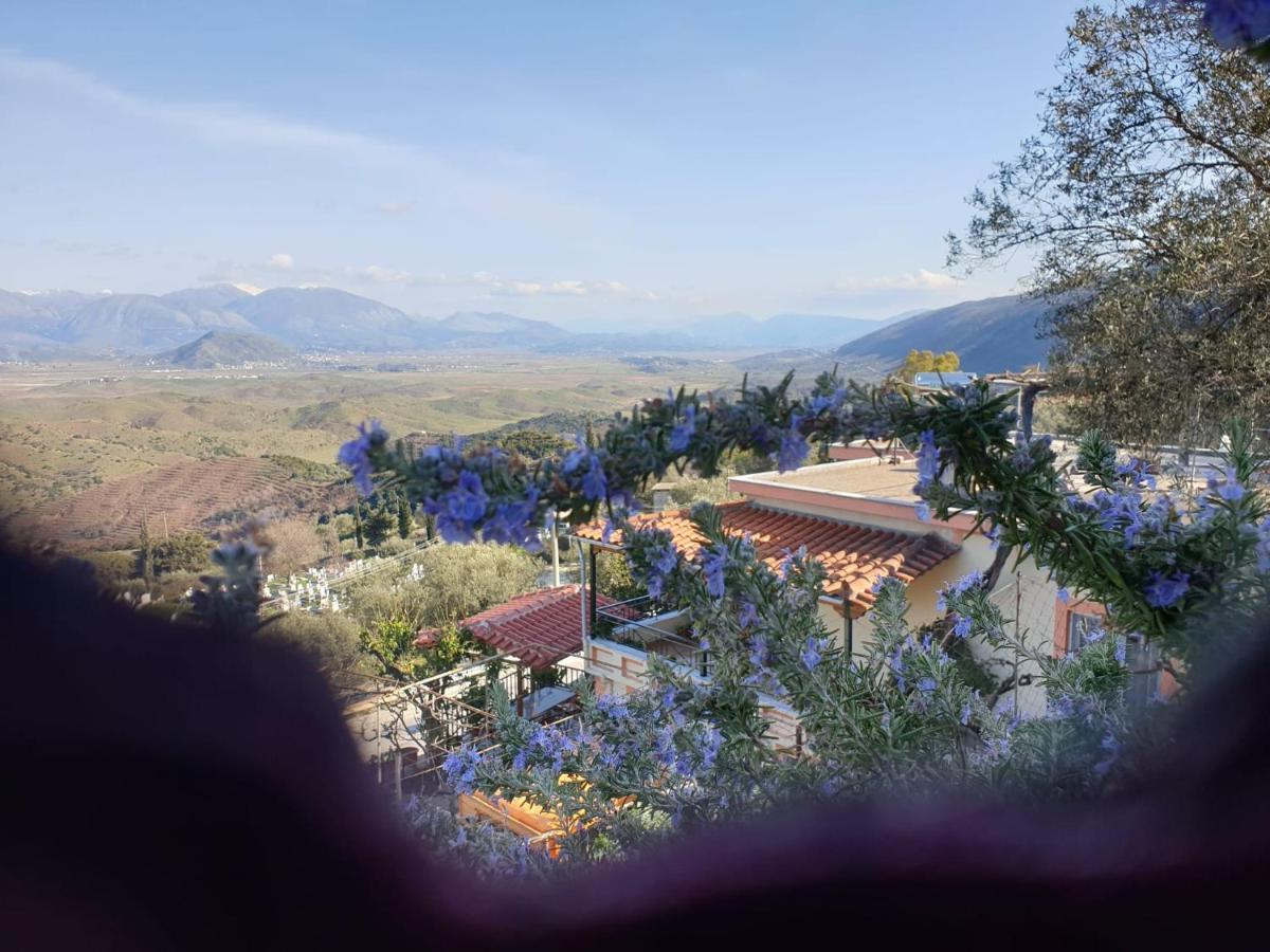 Sarandë Rosemary Houseゲストハウス エクステリア 写真